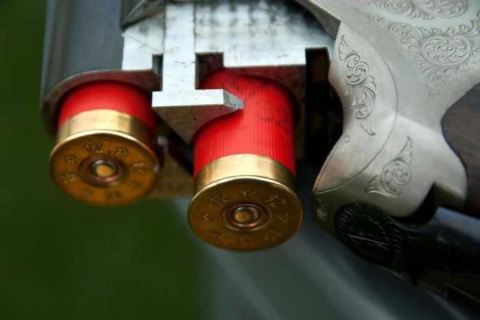 Gun Canon Cartridges Hunting Ammunition Weapon