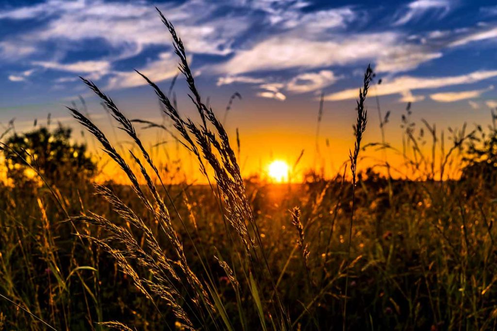 summer sunrise sunset agriculture