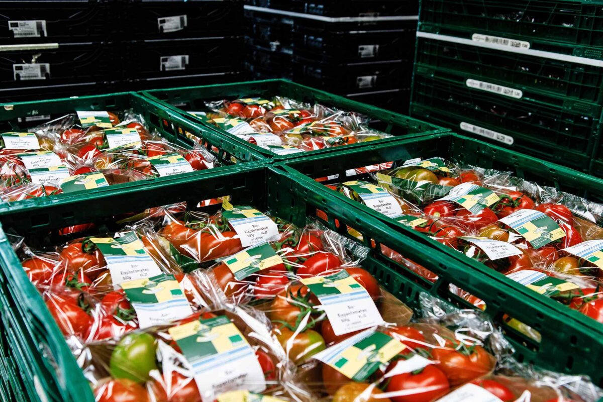 Agriculture - Packaged organic tomatoes in crates in the delivery hall of Westhof Bio-farm - Bio farm Agriculture