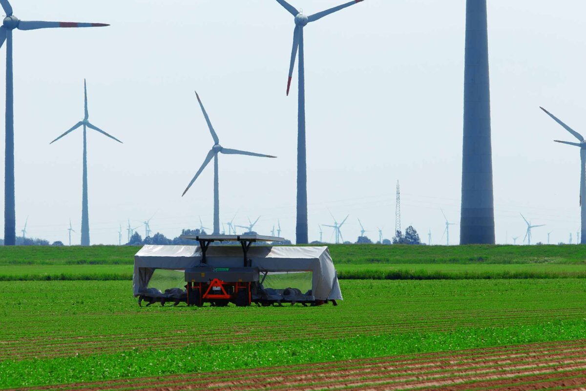 Agriculture - solar powered weeding machine in the fields, with wind turbines in the background