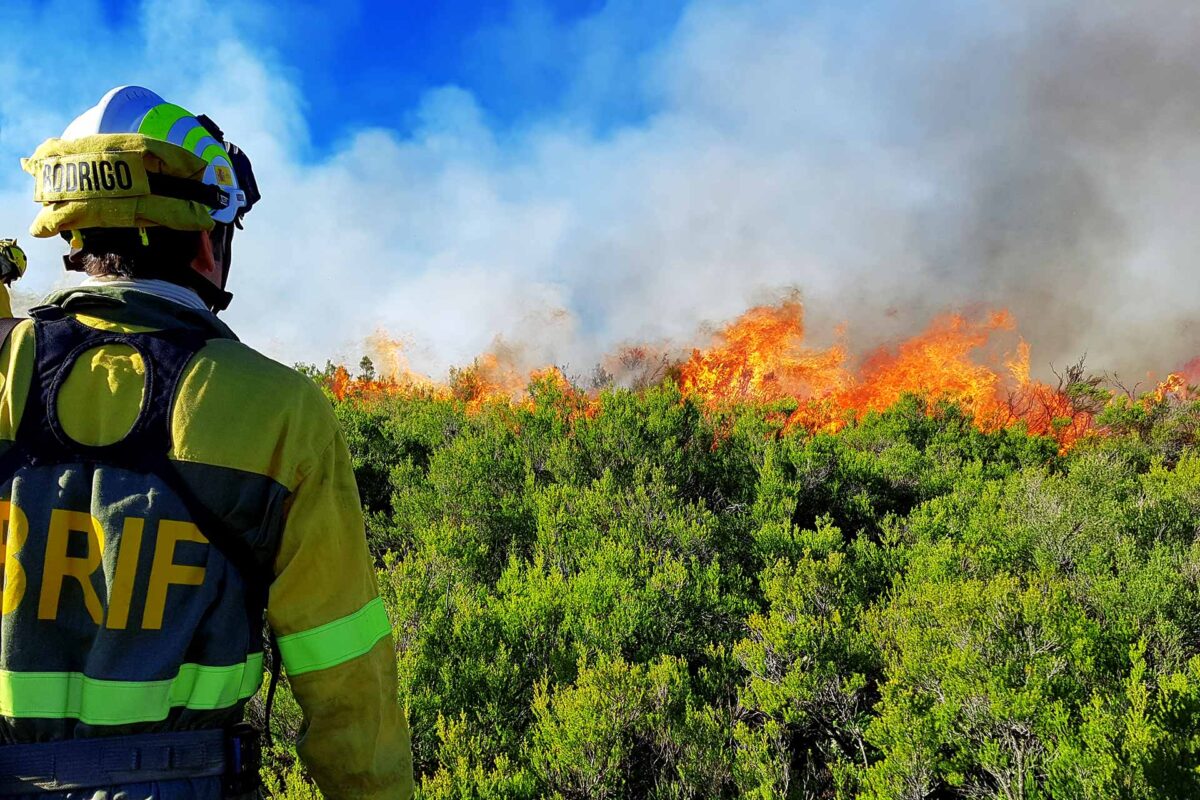 The Spanish reinforcement brigade for forest fires (BRIF)