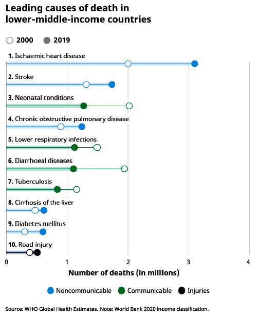 Leading causes of death by income group 2