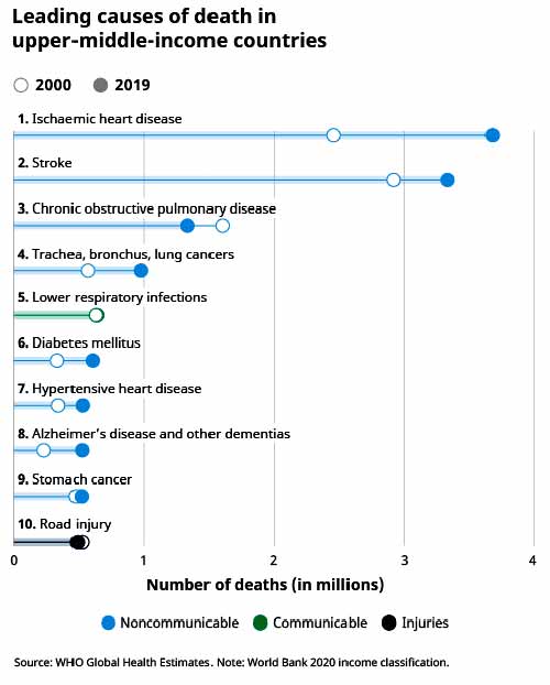 Leading causes of death by income group 3