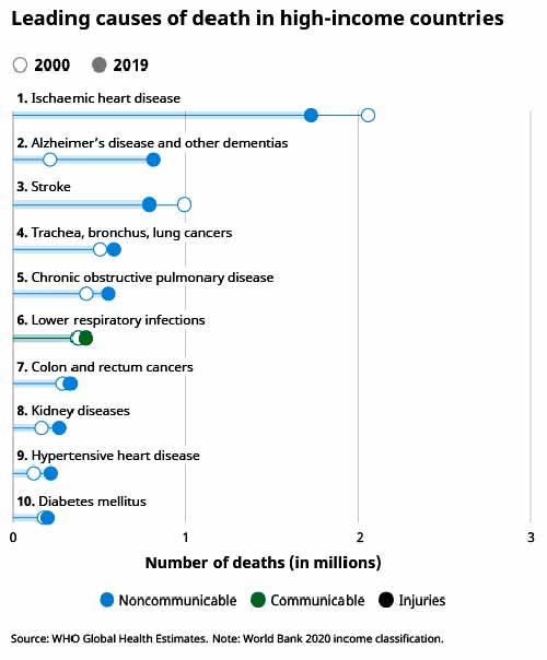 Leading causes of death by income group 5