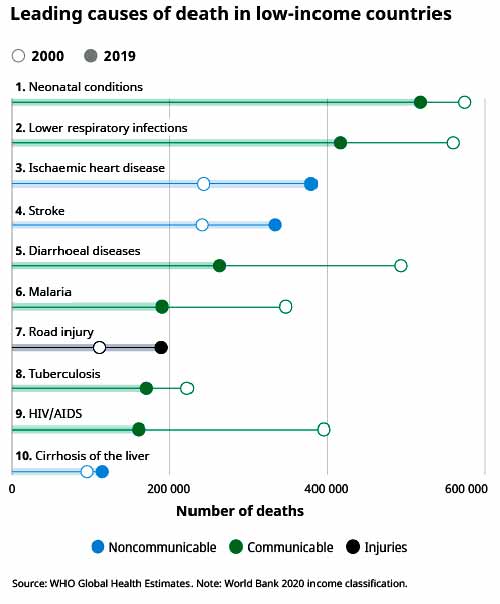 Leading causes of death by income group