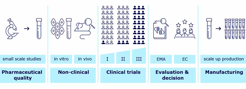 Overview of vaccine development and approval stages