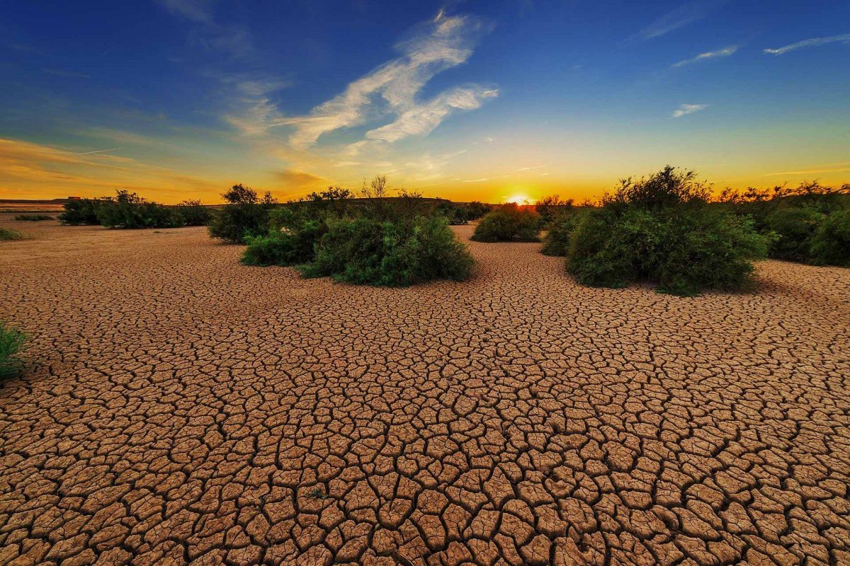 Dessert dry drought ground